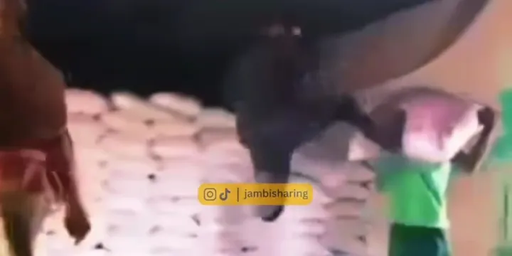 Viral! Pria di Jambi Tendang Kuli Saat Angkut Karung, Pelaku Akhirnya Dipanggil Polisi