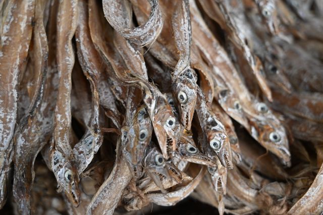 Ikan asin